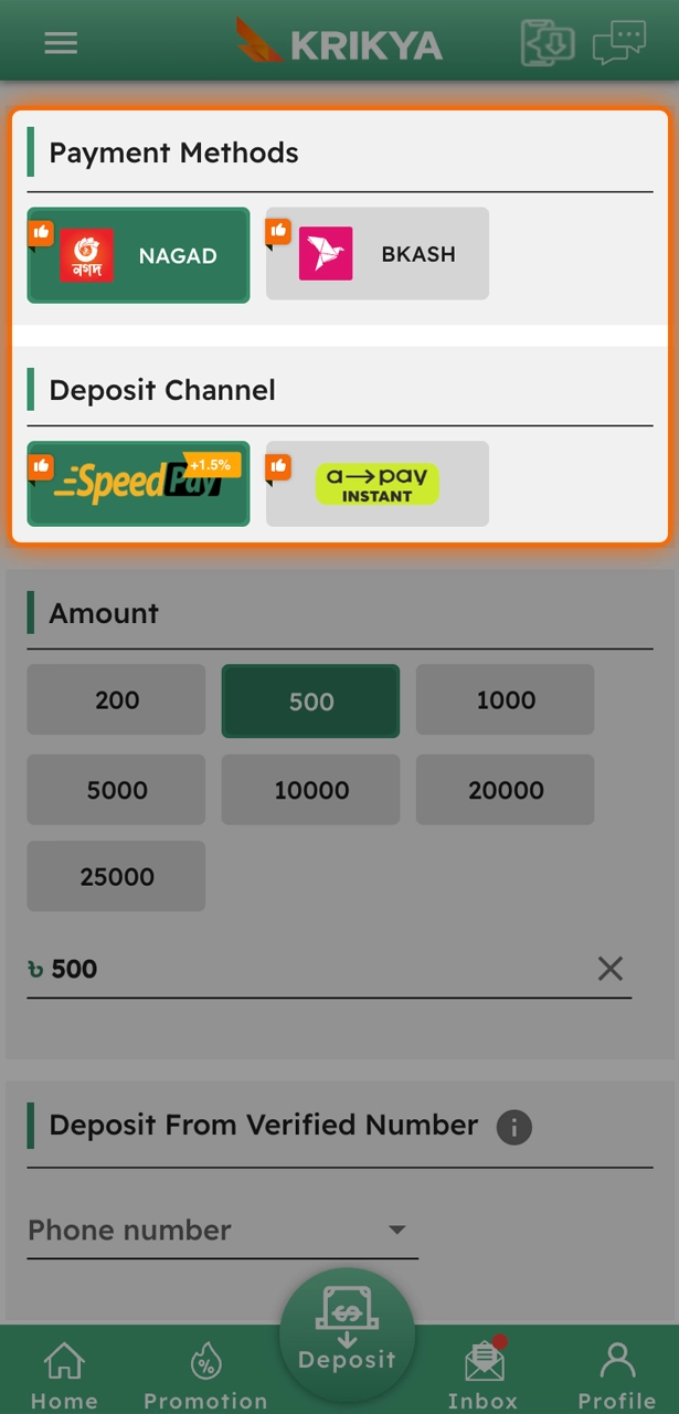 Select a convenient payment system on Krikya for your deposit.