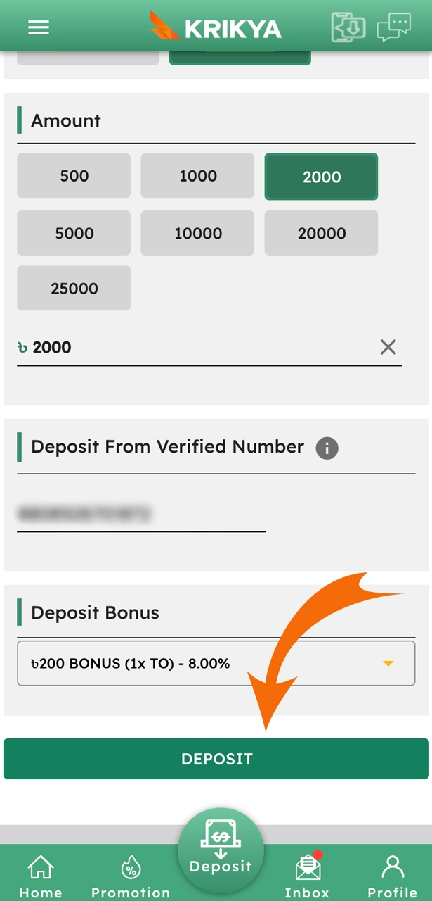 Enter the necessary details to complete your deposit on Krikya.