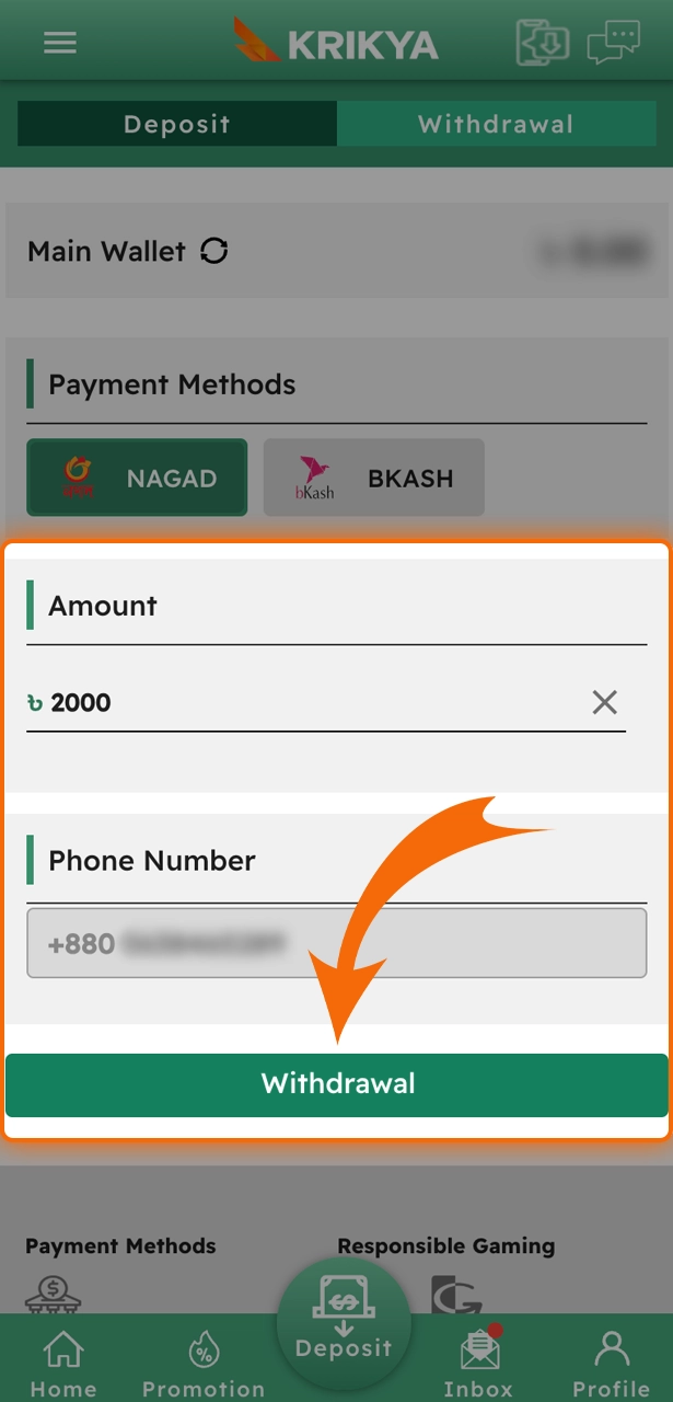 Enter the necessary data for successful withdrawal of funds from Krikya.