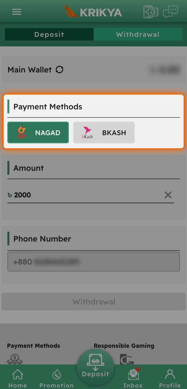 Select a payment system to withdraw funds from Krikya.